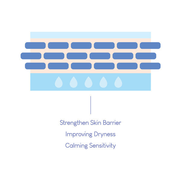 Purito Dermide Cica Barrier Sleeping Pack