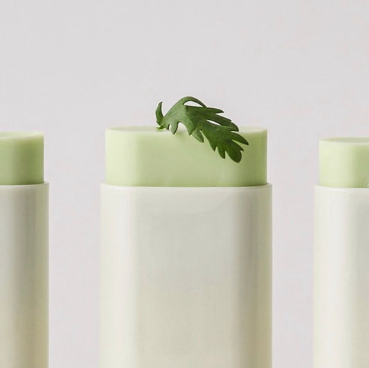 Beauty of Joseon Matte Sun Stick: Mugwort & Camelia SPF 50+ PA++++