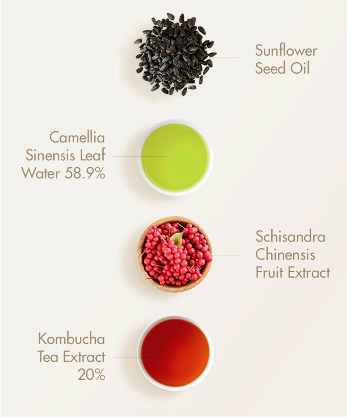 Dr. Ceuracle Vegan Kombucha Tea Essence