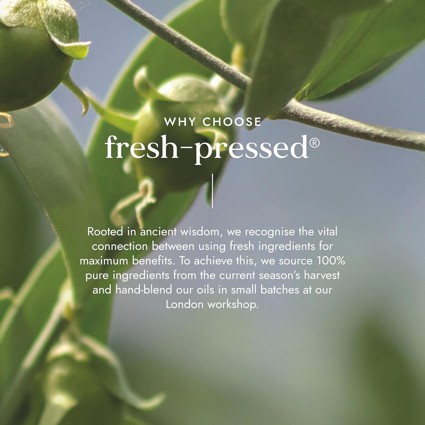 Fushi Organic Jojoba Oil 30ml
