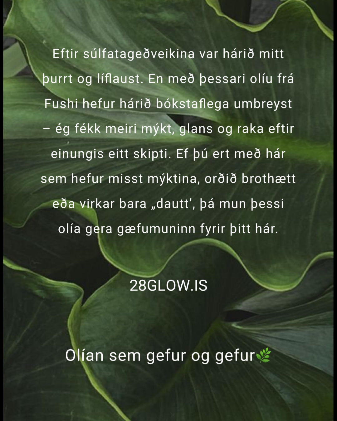 Fushi Really Good Hair Oil 100 ml